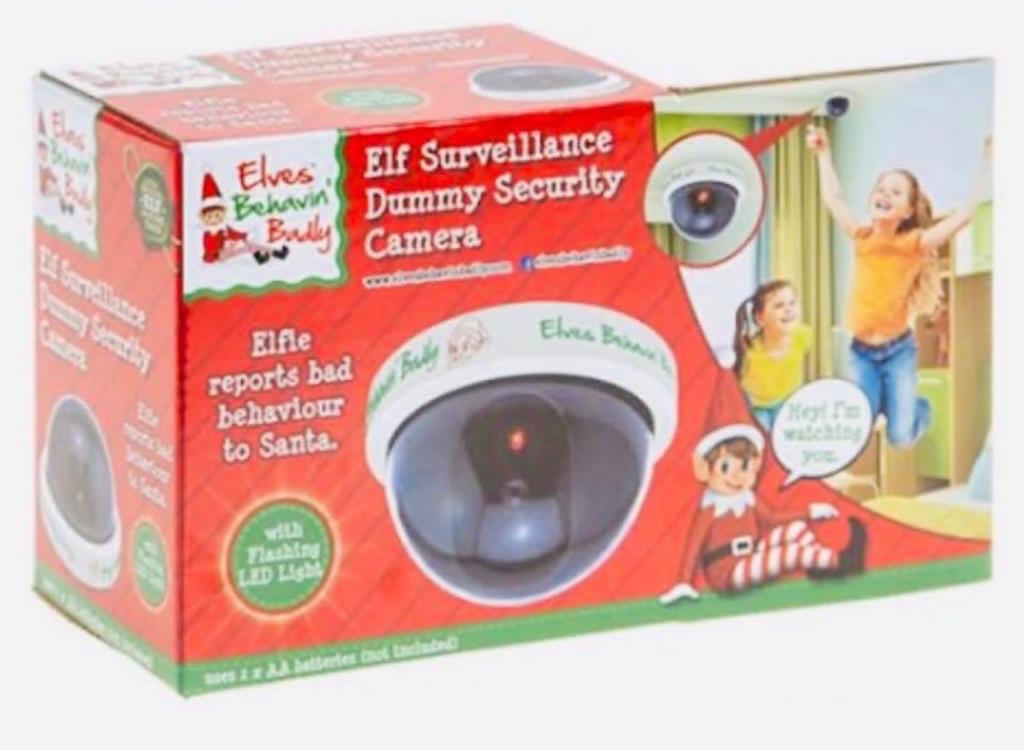 Elf Security Camera Sprinkle of Magic