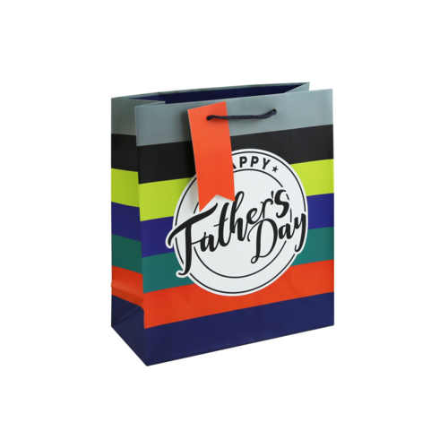 Father's Day Stamp with Stripes Medium Gift Bag