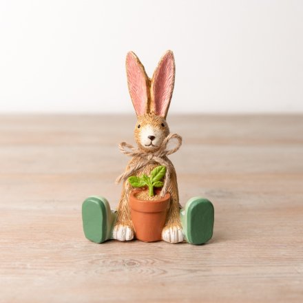 Jasper Rabbit with House Plant