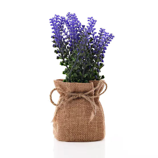 Small Lavender in Hessian Bag - 15cm