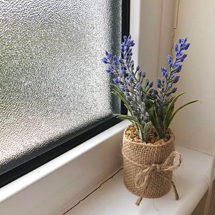 Mini Lavender in Hessian