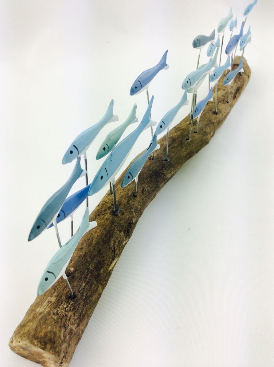 Large Blue School of Fish on Driftwood