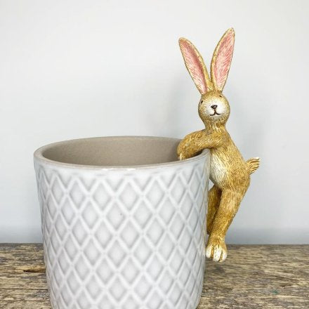 rabbit plant pot hanger Rabbit Pot Hanger – Sprinkle of Magic