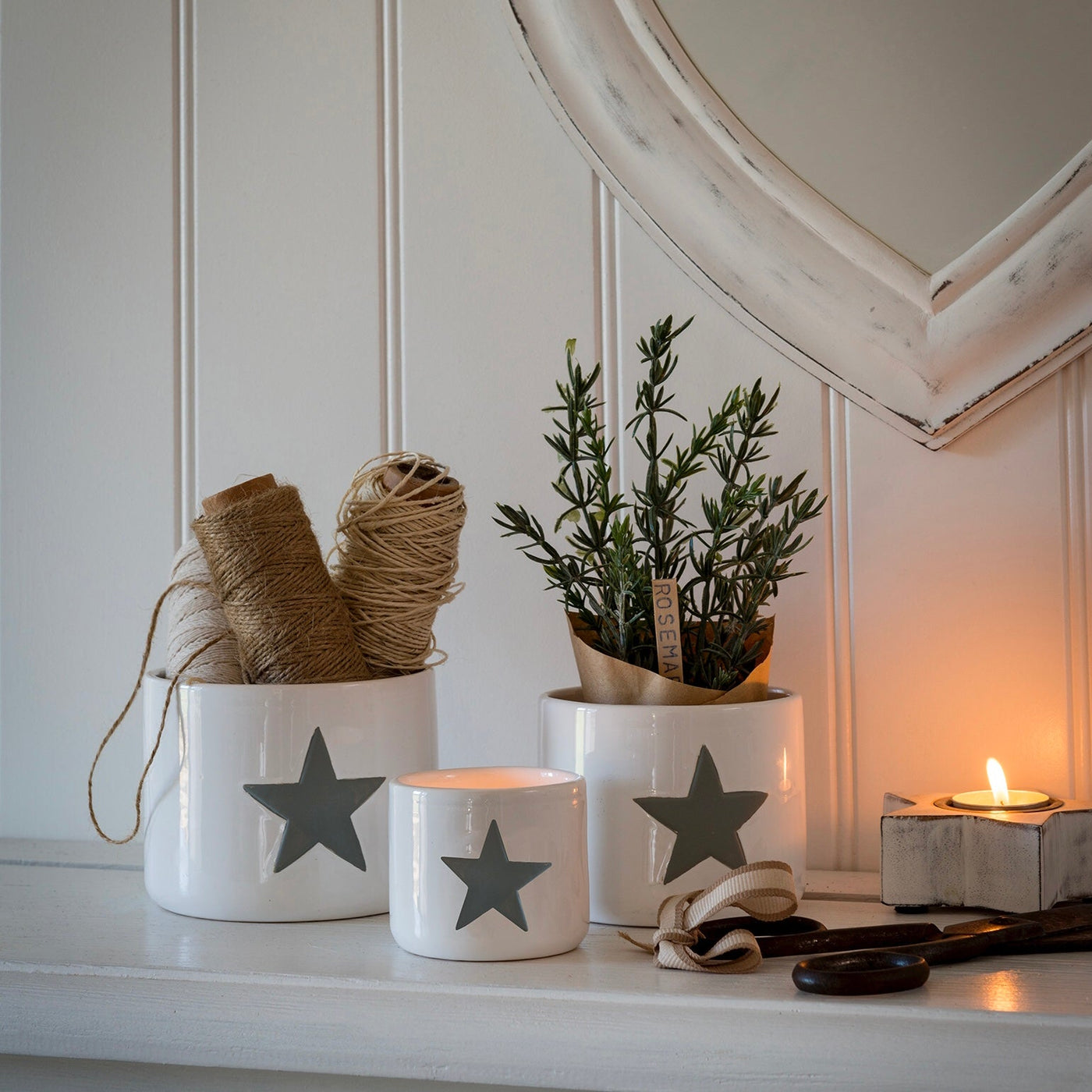 White Pot with Grey Star