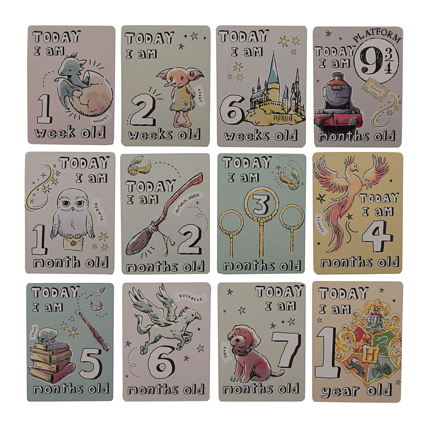 Harry Potter Charms Milestone Cards